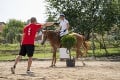 V Santovke šampionát Špeciálnych olympiád v jazdectve: Opäť dominoval Graňo