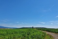 Rozhľadňa na východe Slovenska obľúbená stále viac: Mali sme tu turistov z druhého konca sveta!