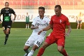 Futbalisti Serede uštedrili Senici debakel, tesné víťazstvo DAC