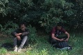 Dvaja migranti vyskočili v Bratislave z nákladiaku: Blesková reakcia policajtov