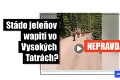 Videu s jeleňmi naleteli desaťtisíce ľudí: Malo byť natočené na Podbanskom, pravda vás pobaví