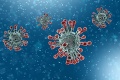 Takto sa koronavírus vyhýba našej imunite: Jeho maskovanie odhalili českí vedci