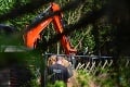 Záhadné zmiznutie Maddie: Nemeckí policajti ukončili prehľadávanie záhrady, čo našli?