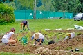 V Košickom kraji budujú špeciálne záhrady a jazierka: Dobrovoľníci bojujú so suchom