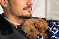 Orlando Bloom prišiel o milovaného psíka: Jeho meno si dal vytetovať na čestné miesto