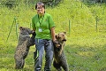 Polročné medvieďatá opustila mama: Siroty Filip a Máša sú hitom košickej zoo
