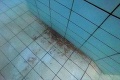 Jediný krytý bazén v Košiciach museli zatvoriť: Žaburina na plavárni!