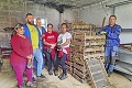 Sociálny podnik v Rovňanoch dal príležitosť ľuďom bez práce: Zamestnali sme sa vďaka cesnaku