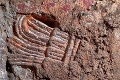 Pozoruhodný objav v Mexiku: Sledujte, čo odhalili archeológovia