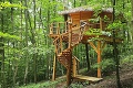Romantika v korunách slovenských lesov: Uvidíte tento domček zvnútra, hneď tam pobežíte
