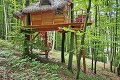 Romantika v korunách slovenských lesov: Uvidíte tento domček zvnútra, hneď tam pobežíte