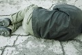 Český bezdomovec ukradol v čase núdzového stavu päť žemlí: Súd ho poslal za mreže
