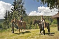 Z ťažko pracujúcich zvierat horskí sprievodcovia: Kde na Slovensku si užijete turistiku s koňmi?