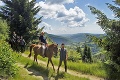 Z ťažko pracujúcich zvierat horskí sprievodcovia: Kde na Slovensku si užijete turistiku s koňmi?