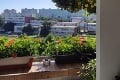 Záhradkári zobrali útokom nevyužité plochy: Balkón z Petržalky nemá na okolí páru, oáza pokoja uprostred sídliska