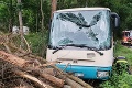 Záchranné zložky zasahujú pri Nitre: Vážna nehoda autobusu a osobného auta!