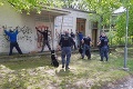Kynológovia zabránili krádeži v Bratislave: Fantázia, čo sa podarilo policajným psom