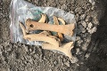 Archeológovia objavili pri Trnave unikát starý 7 000 rokov: Korčuľa z doby kamennej!