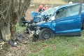 Tragická dopravná nehoda pri Šintave: Auto zišlo z vozovky, smrteľný náraz do stromu!