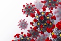 KĽDR varuje ľudí: Zdĺhavá pandémia koronavírusu je nevyhnutnou realitou, toto nie je všeliek