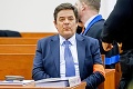 Bývalý generálny prokurátor Dobroslav Trnka: Obžaloba za ukrývanie Gorily!