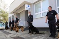 O policajné psy sa stará ich vlastný veterinár: Tomuto sa nevyhnú ani štvornohí kolegovia mužov zákona!