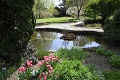 Bratislavská botanická záhrada víta domácich v plnej paráde: Návštevníkov potešia kvitnúce novinky