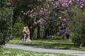Bratislavská botanická záhrada víta domácich v plnej paráde: Návštevníkov potešia kvitnúce novinky
