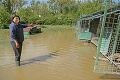 Útulok na východe Slovenska je pod vodou: Psíci v kotercoch bojovali o život! Smutné pozadie nešťastia