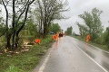 Kuriózna situácia na ceste pri obci Zohor: Bobor postavil všetkých na nohy!
