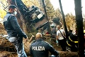 V talianskom horskom stredisku sa utrhla lanovka, o život prišlo 14 osôb: Z kabíny smrti prežilo len jedno dieťa