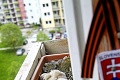 Jaroslav z Považskej Bystrice je nadšený: Čo sa deje na jeho balkóne, sledujú po celom svete
