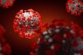 Svetová zdravotnícka organizácia prízvukuje: Toto môže pomôcť znížiť riziko šírenia variantov vírusu