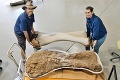 Objavili obra medzi dinosaurami: Na jeho chrbte by sa mohol hrať basketbalový zápas