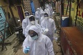 Najhoršie číslo od začiatku pandémie! V Indii pribudol rekordný počet obetí COVID-19 za jediný deň