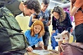 Navigáciu v hlavnom meste uľahčia návštevníkom dobrovoľníci: Turistom pomôžu anjeli