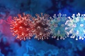 Hygienici pokračujú v sekvenovaní vzoriek: Aký variant koronavírusu u nás prevláda?