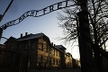 Vyšetrujú nález neďaleko koncentračného tábora Auschwitz: Objavili masový hrob?
