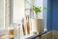Bambus je pomocník aj štýlová ozdoba: Exotika v našich domácnostiach