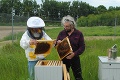 Nezvyčajný nápad vo firme na východe: Výrobca prevodoviek chová v areáli včely, starostlivosti sa ujali zamestnanci