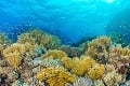 UNESCO chce zaradiť Veľkú koralovú bariéru medzi ohrozené lokality: Rázna reakcia Austrálie