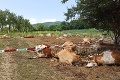 Desivý pohľad na zvieratá v družstve v Bolešove pri Ilave: Otrávilo sa 67 kráv močovinou?!