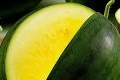 Leto patrí šťavnatej pochúťke: Ako vybrať sladký melón?
