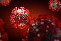 Štúdia odhalila nové znepokojivé poznatky: Koronavírus môže infikovať aj mozgové bunky, čo vám hrozí?