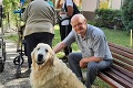 Milé prekvapenie v komárňanskom domove dôchodcov: Návšteva psíkov spôsobila zázrak!