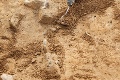 Prevratný objav! Vedci našli v pozostatkoch človeka z eneolitu prekvapivý nález