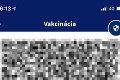 Slováci už môžu používať Digitálne COVID preukazy EÚ: Kontrolovať ich budú policajti aj vojaci