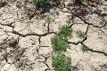 Veľkú časť Oravy zasiahlo extrémne sucho: Deficit vlahy je na 90 % územia Slovenska