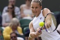Český tenis na vrchole slávy: Plíšková postúpila do finále Wimbledonu!