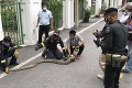 Rodičia s kočíkmi v Bangkoku zmeraveli: V mestskom parku bol 3,5-metrový pytón